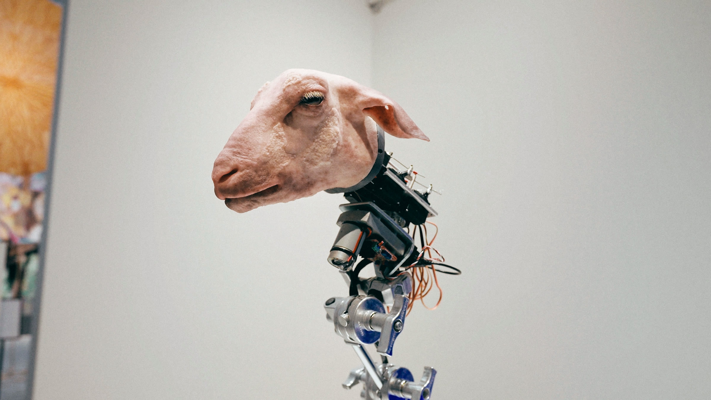 The robotic sheep head Broadcaster
