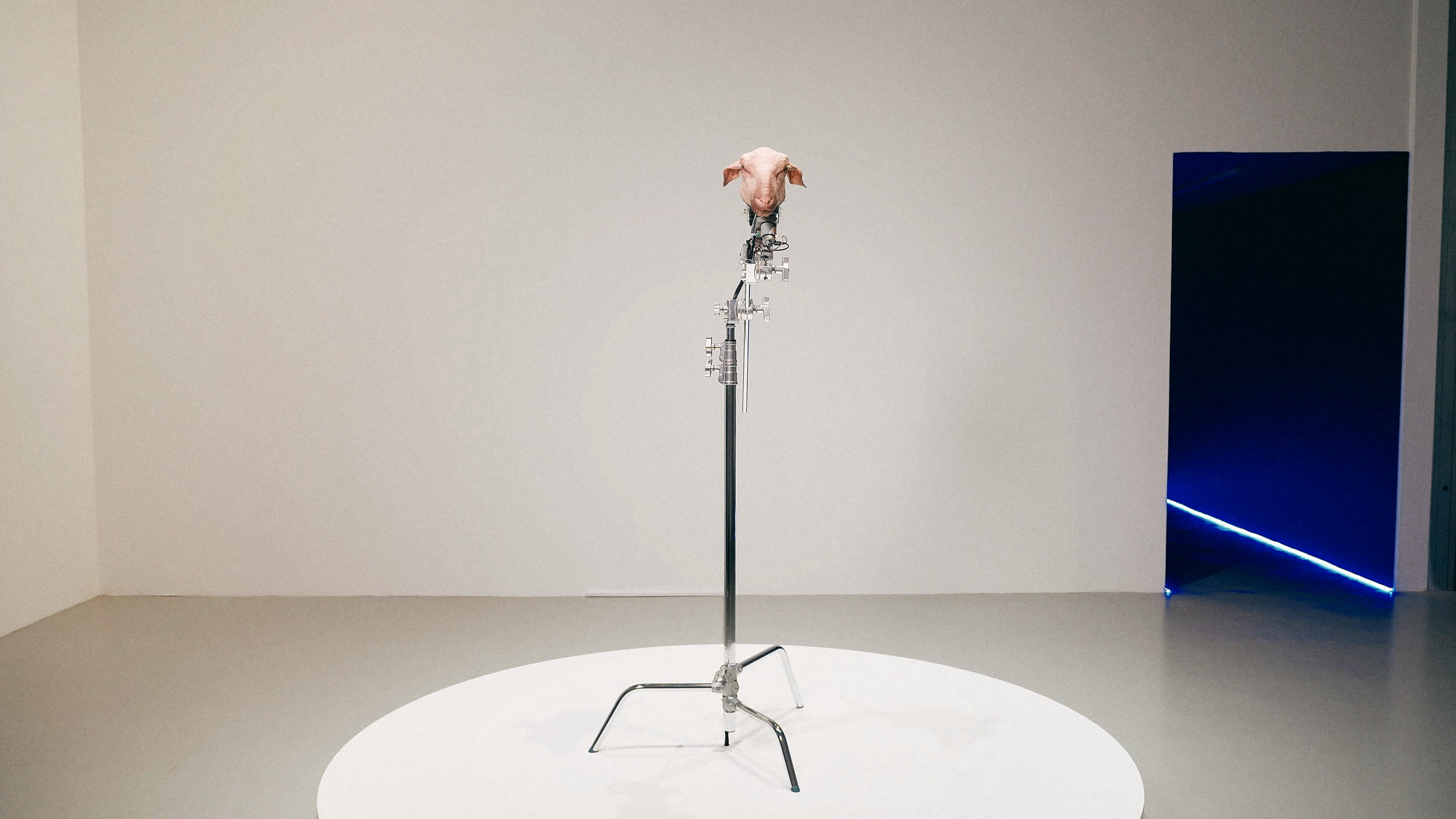 Broadcaster on its stand in the white room