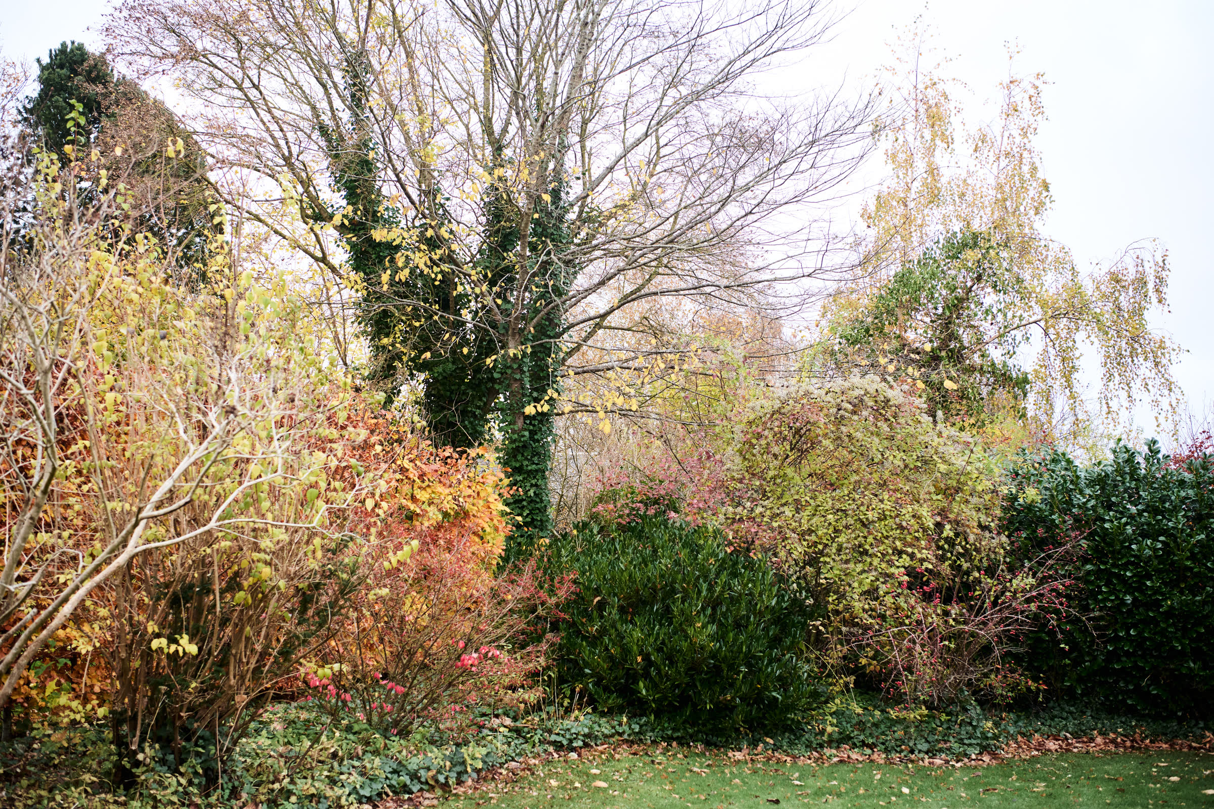 The garden in autumn