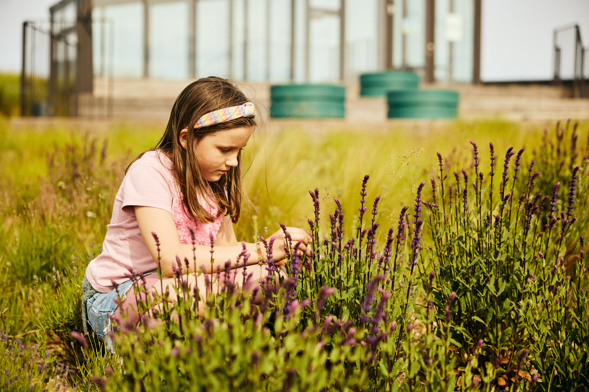 A girl among lavender by Circus modules